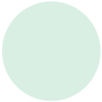 mint-icon