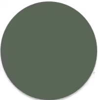 alpine-green-icon