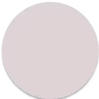 phantom-silver-icon