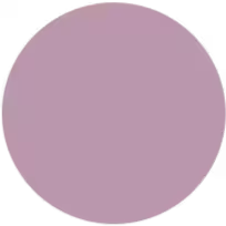 lavender-icon