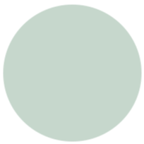 mint-icon