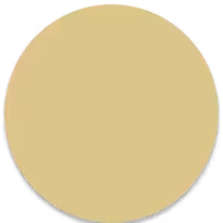 mirror-gold-icon