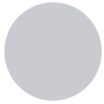 silver-icon