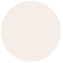 porcelain-icon