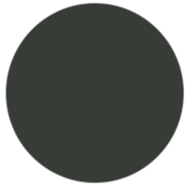 oynx-icon