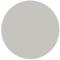 titanium-whitesilver-icon
