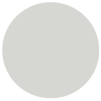 platinum-silver-icon