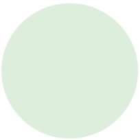 mint-icon
