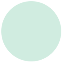 mint-icon