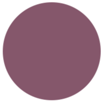 fuchsia-icon
