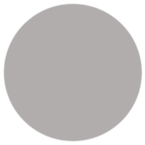 silver-icon