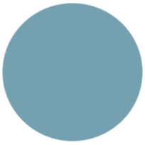blue-icon