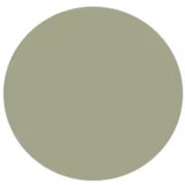 olive-icon