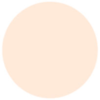 desert-titanium-icon