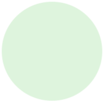 wintergreen-icon