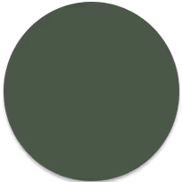 green-icon