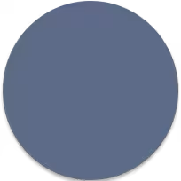 coral-blue-icon