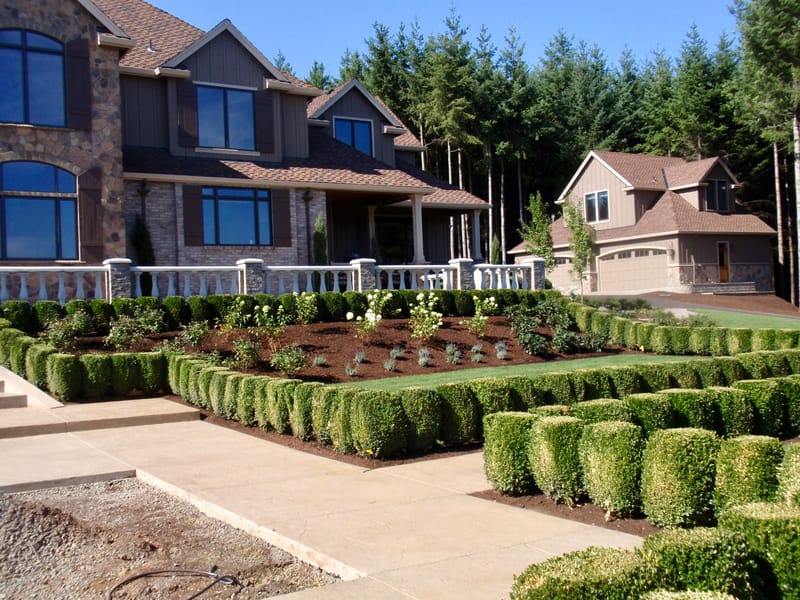 Landscape Maintenance