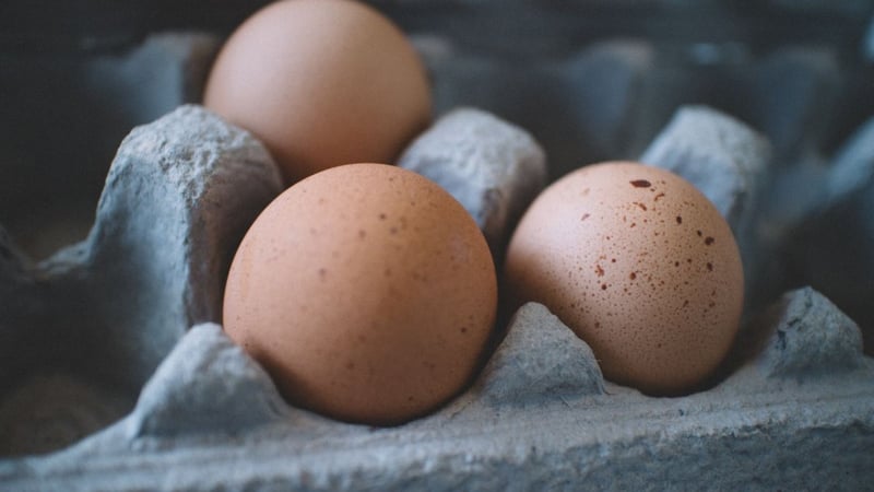 Perlukah Mencuci Telur Sebelum Dimasak? Ini Penjelasan Fikihnya