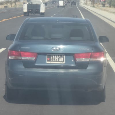 License plate: SCREAM,  State: TX