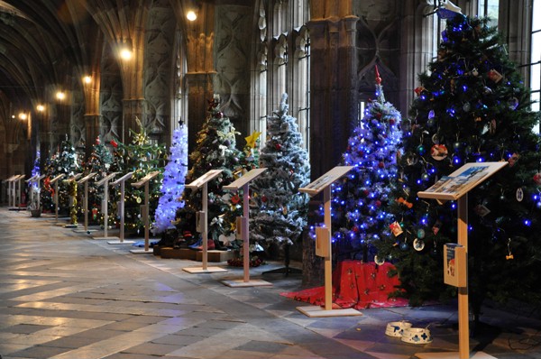 Featured image for JMDA Christmas Tree At Worcester Cathedral
