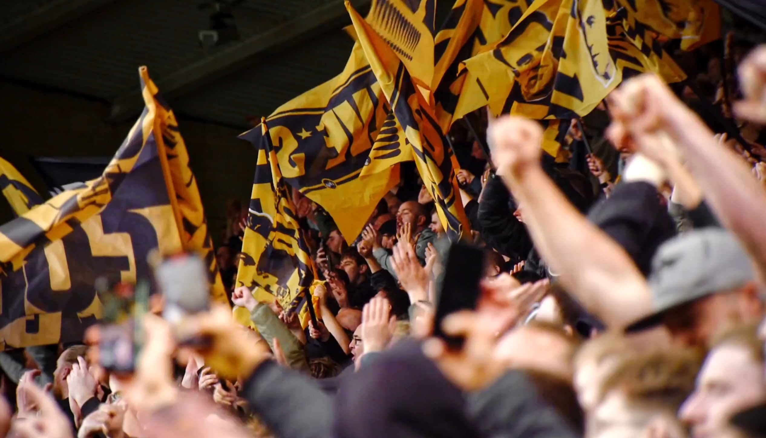 Wolves Foundation