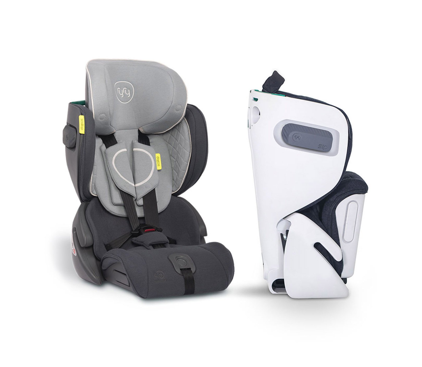 Featured image for RyRy Scallop Booster Seat