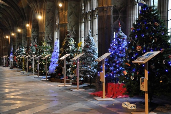 Featured image for JMDA Christmas Tree At Worcester Cathedral
