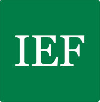 Independent Economics & Finance LLP