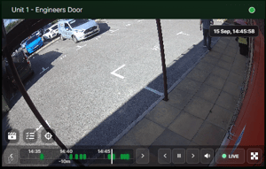 Media window - SEiNG live view