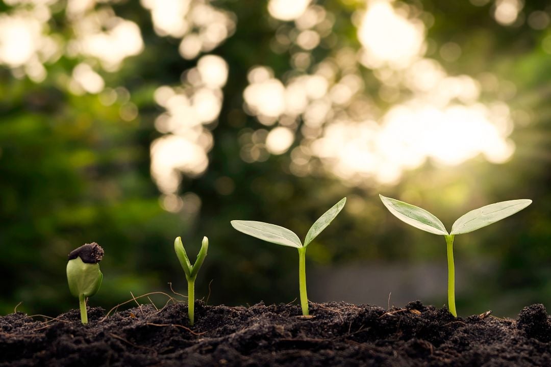 sustainable cctv net zero
