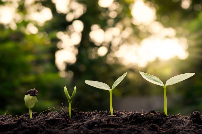 sustainable cctv net zero