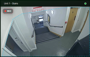 media window - motion preview