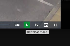 Download Video Button