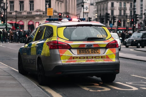 Martyn's law and cctv