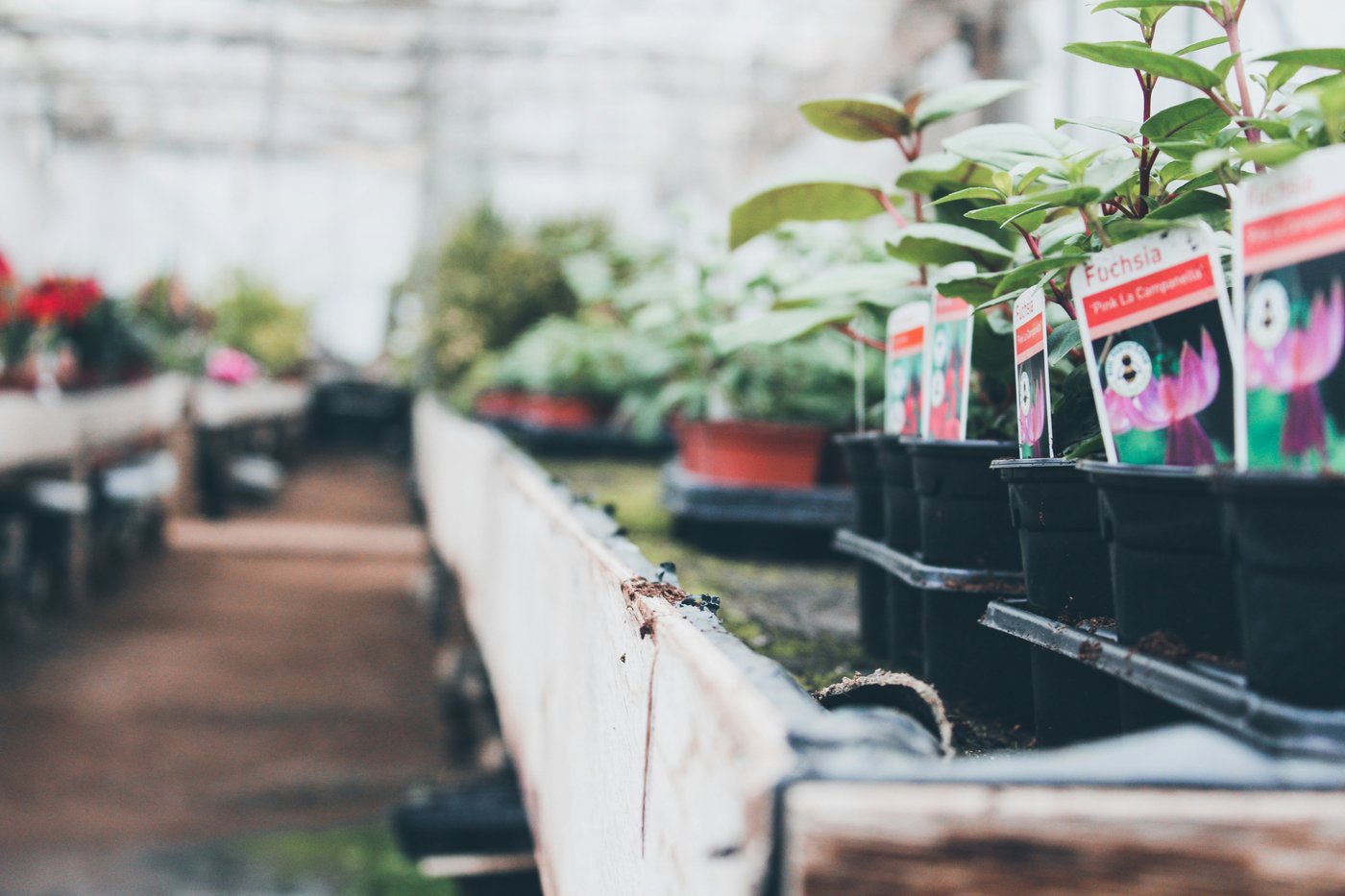 Cloud CCTV for loss prevention, UK garden centres