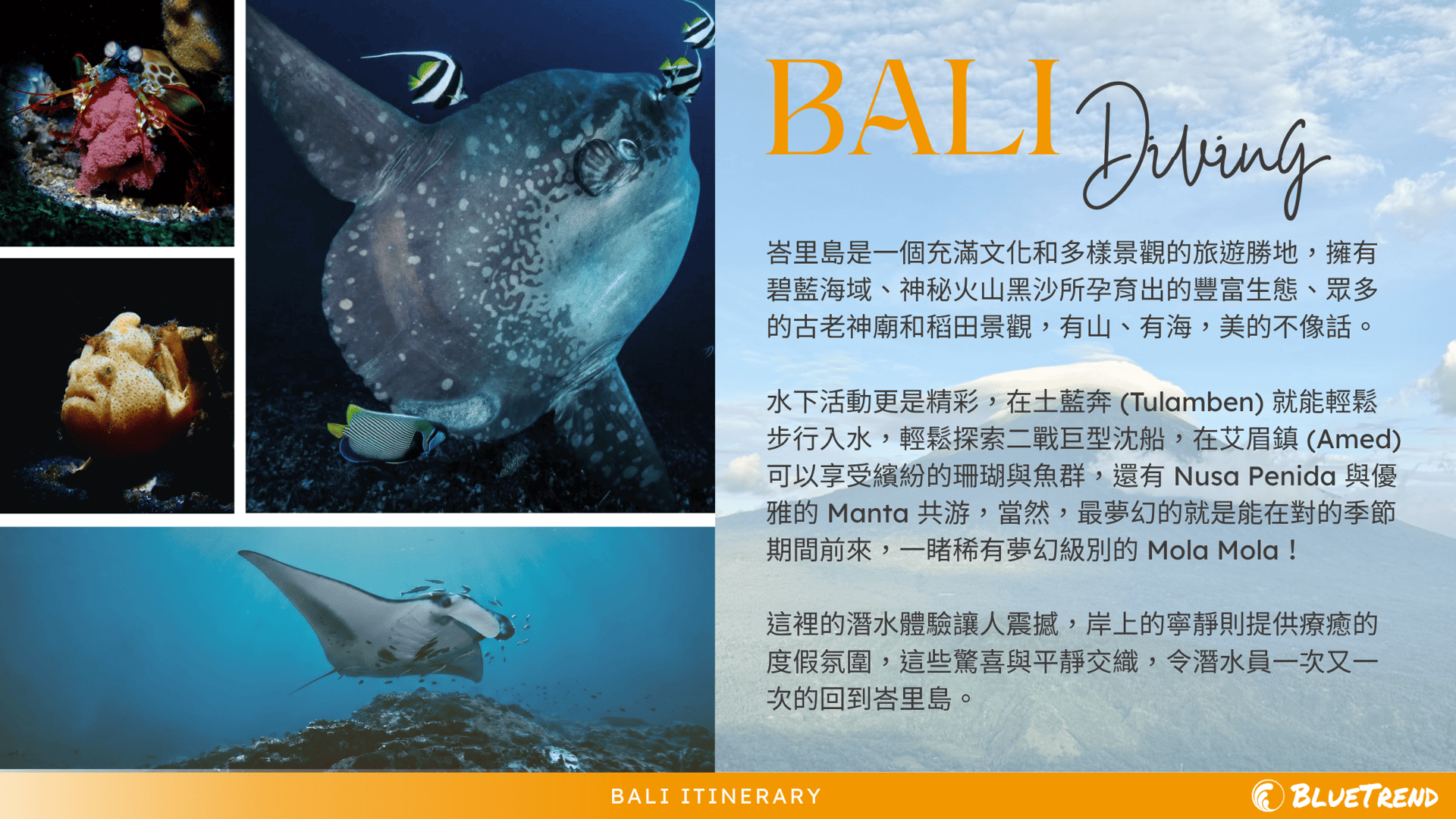 Bali Intro.png