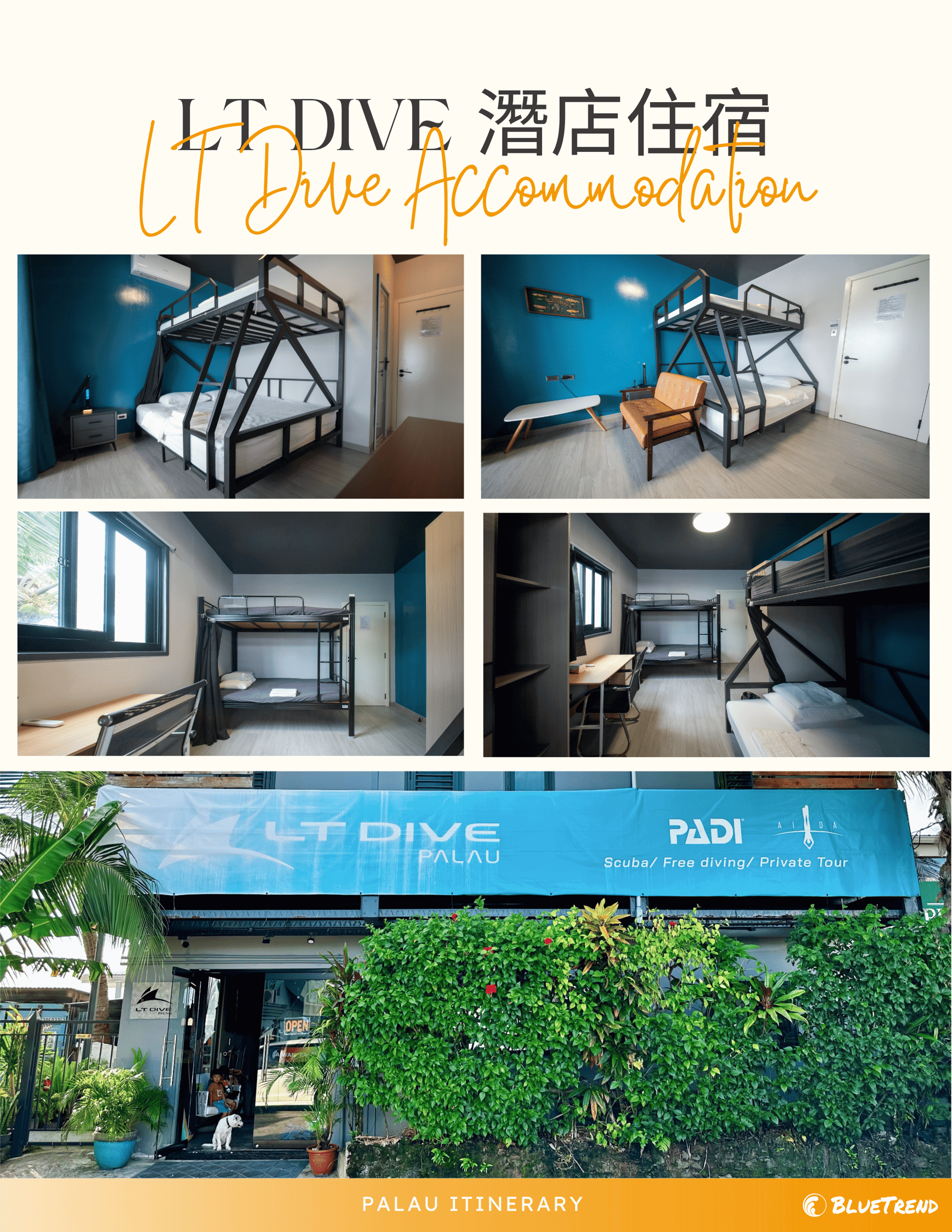 LT Accomondation.png