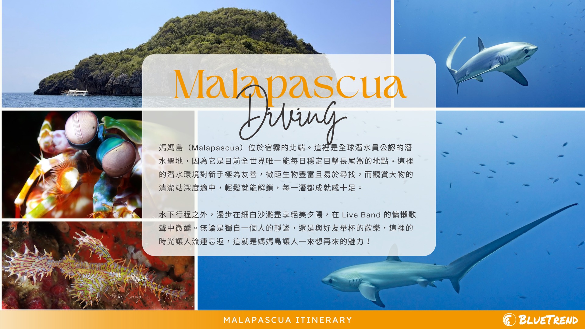 Malapascua Intro.png