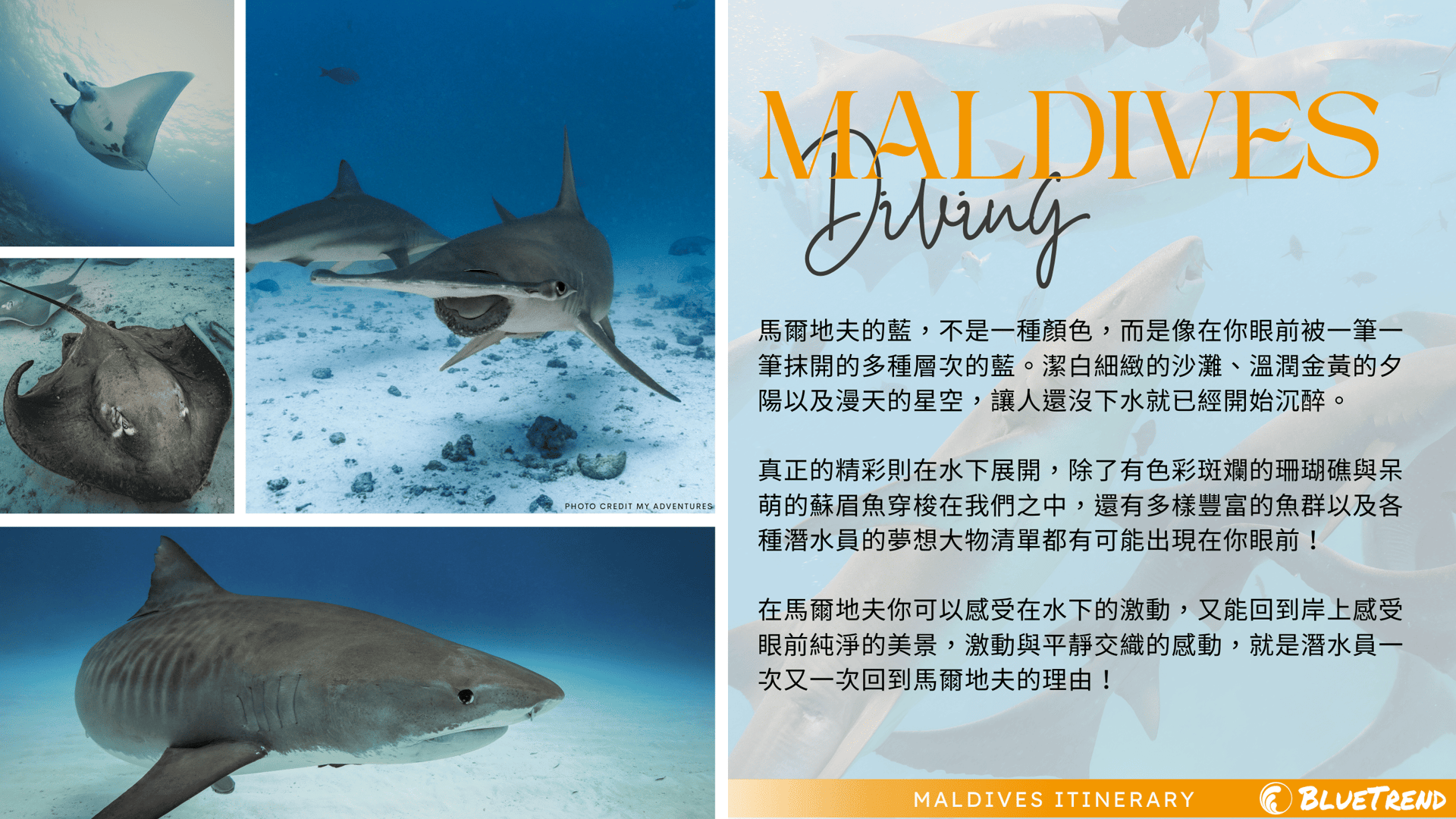 Maldives Intro.png