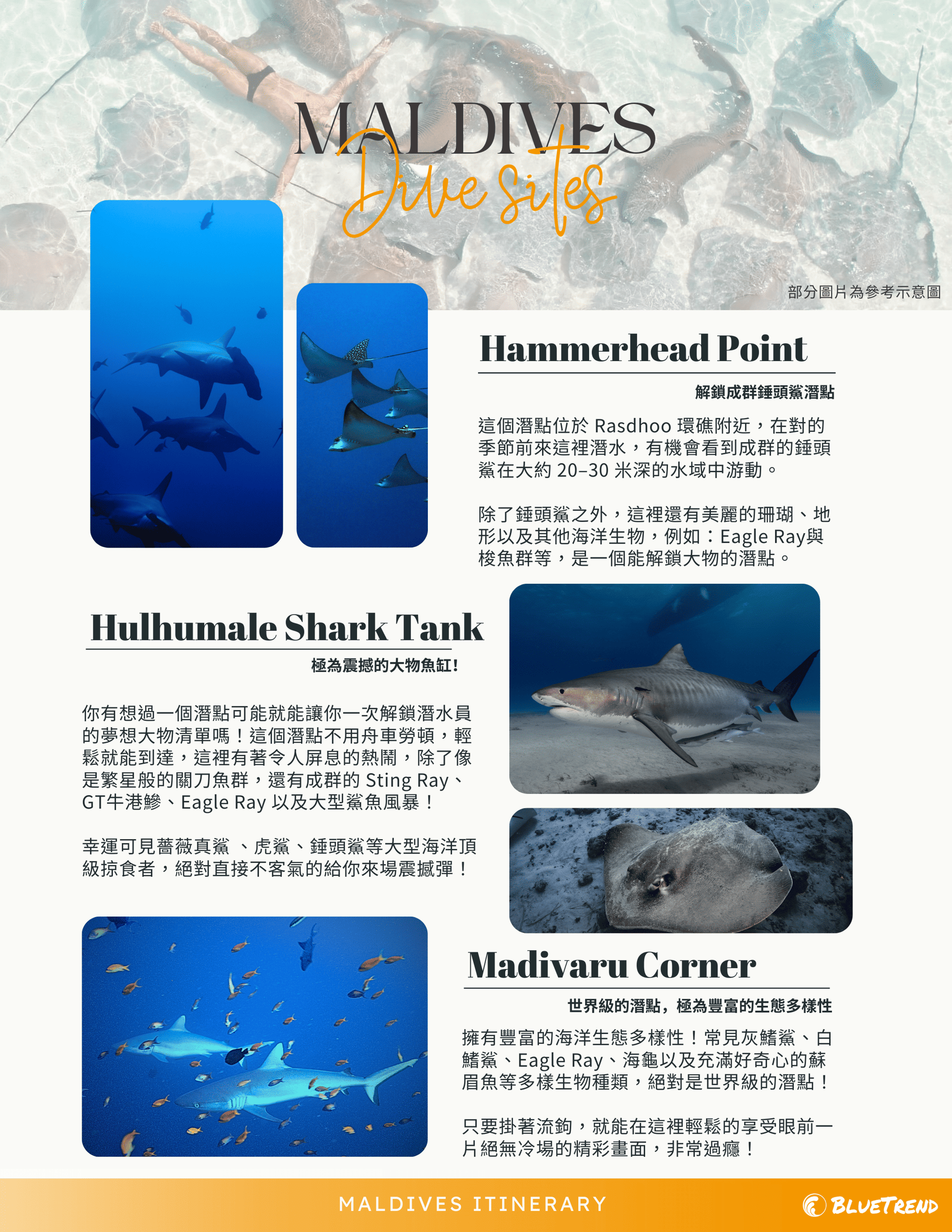 馬爾地夫潛點介紹Page1.png