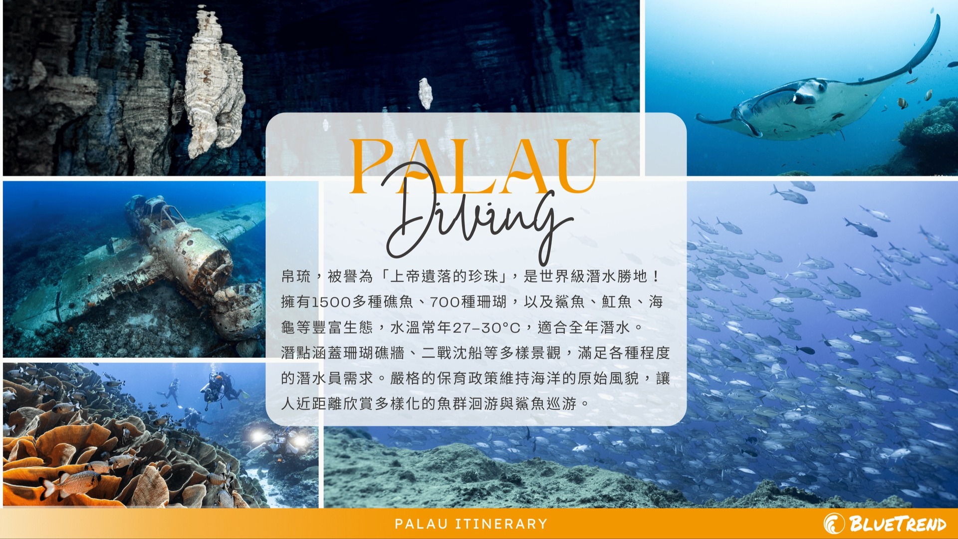 Palau Intro.jpg