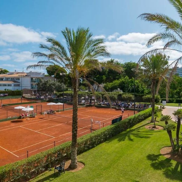 Tennis courts at a beach club surrounded by greenery and palm trees, with players in action against a backdrop of club facilities and clear skies.