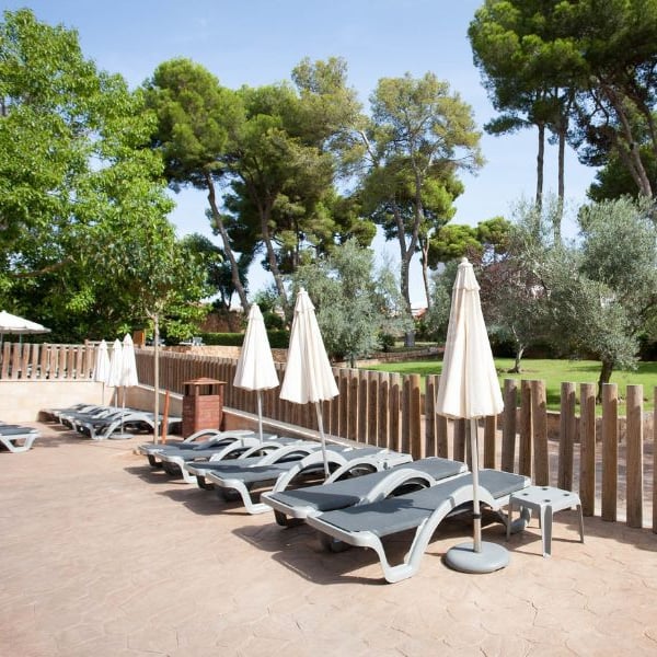 Outdoor lounge area with sun loungers and parasols at a beach club, surrounded by lush greenery and tall trees.