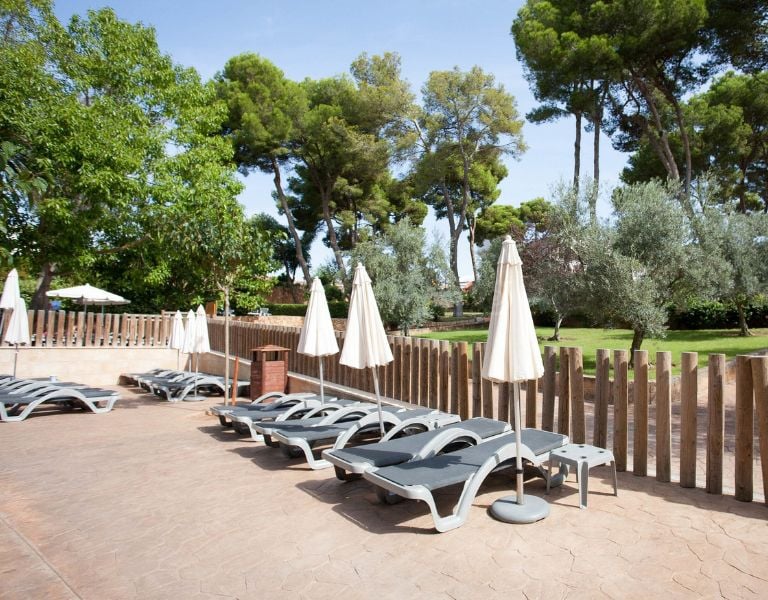 Outdoor lounge area with sun loungers and parasols at a beach club, surrounded by lush greenery and tall trees.