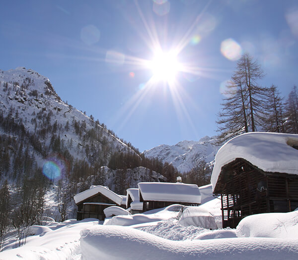Snow-covered cabins and trees in Hotel Monterosa's scenic mountain landscape under a sunny winter sky.