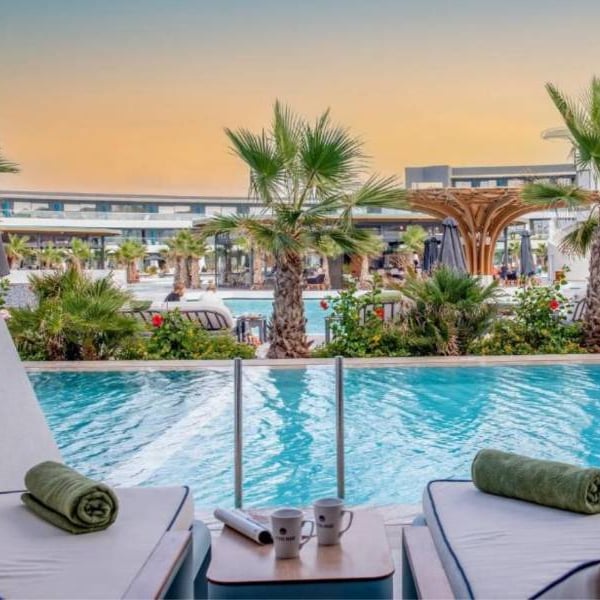 Lyttos Gallery private pool view with sun loungers, palm trees, and a modern architectural backdrop.