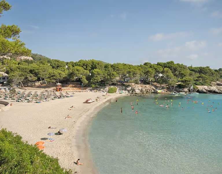 Wide shot of a beach shore with golden sand, turquoise waters, green trees, and people sunbathing and swimming under umbrellas.