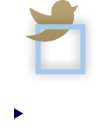 Stylized golden bird on a blue square with a play button beneath, resembling a social media icon.