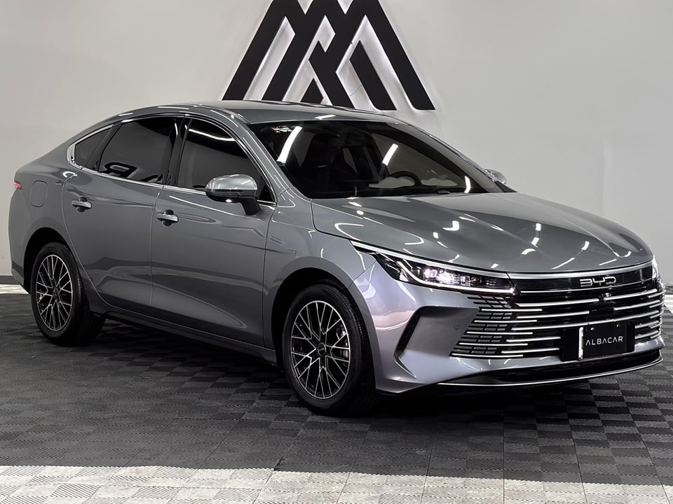 2026 BYD King